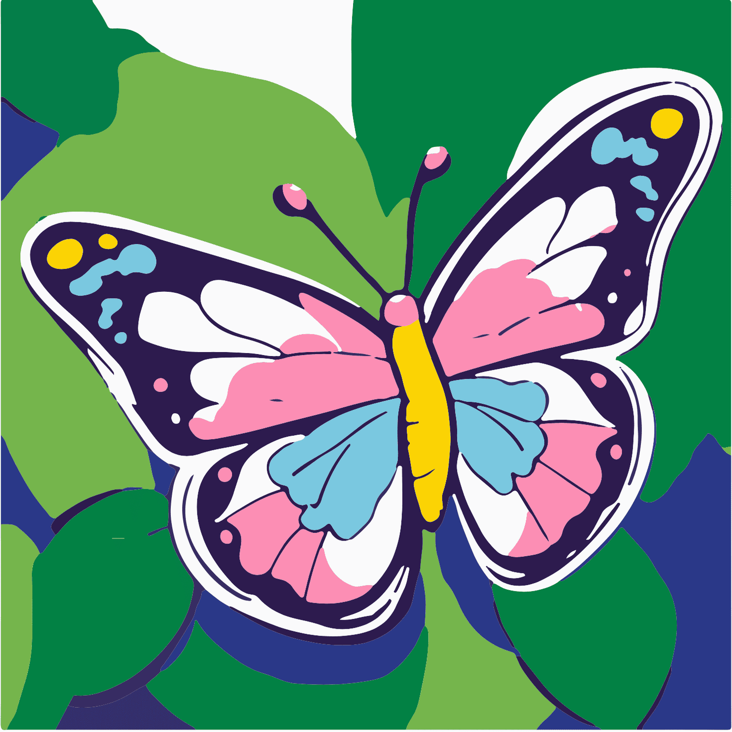 Butterfly Paint Kit