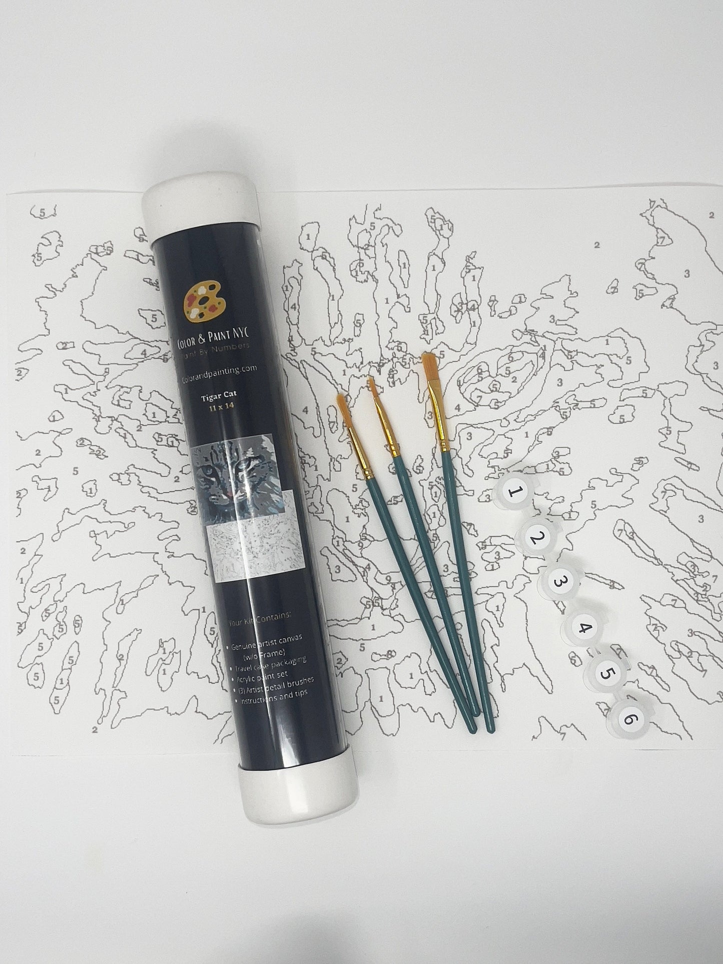 Tiger Cat Paint Kit