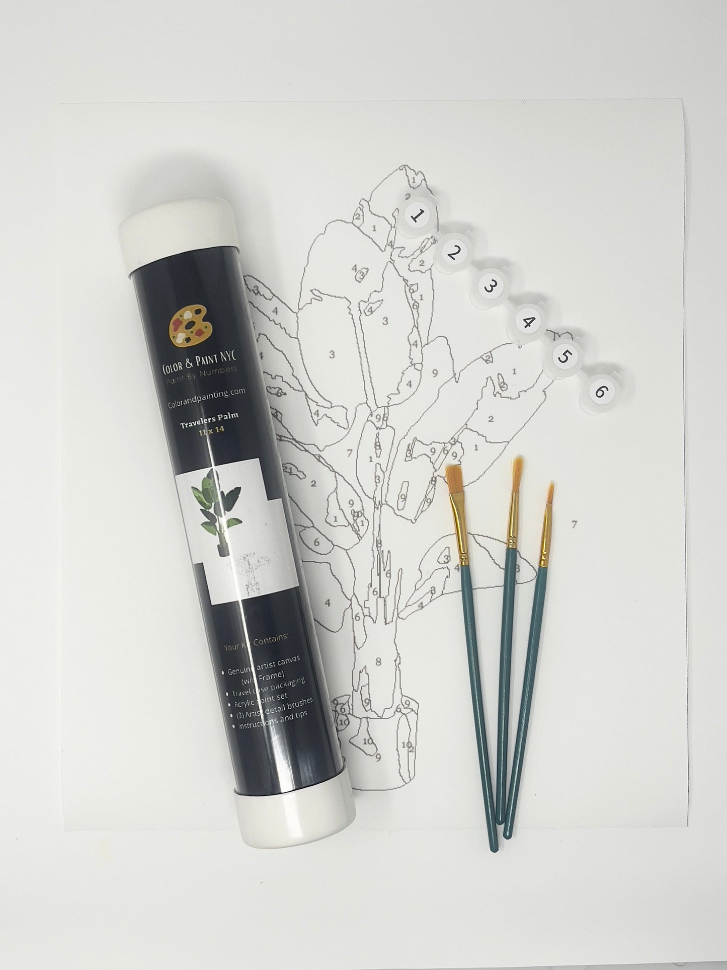 Travelers Palm Paint Kit