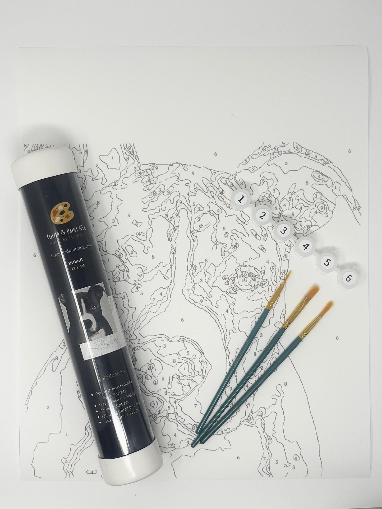 Pitbull Paint Kit