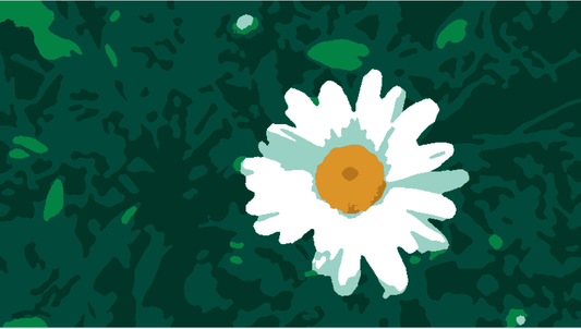 Andy's Daisy Paint Kit