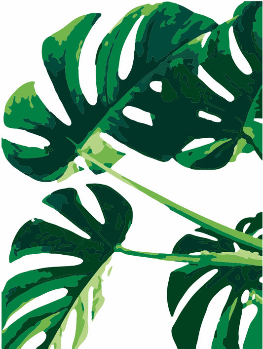 Monstera Deliciosa Paint Kit