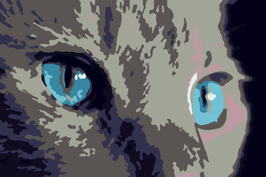 Cat Eyes